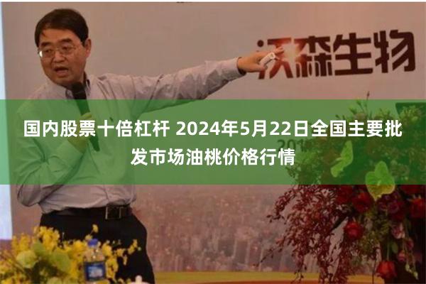 国内股票十倍杠杆 2024年5月22日全国主要批发市场油桃价格行情