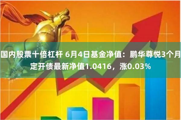 国内股票十倍杠杆 6月4日基金净值：鹏华尊悦3个月定开债最新净值1.0416，涨0.03%