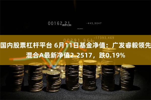 国内股票杠杆平台 6月11日基金净值：广发睿毅领先混合A最新净值2.2517，跌0.19%