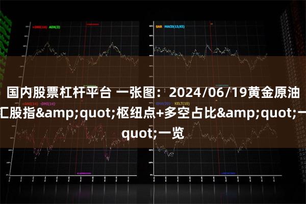 国内股票杠杆平台 一张图：2024/06/19黄金原油外汇股指&quot;枢纽点+多空占比&quot;一览