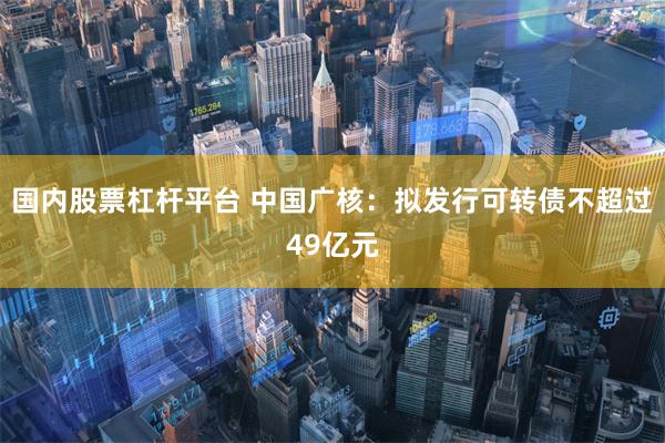 国内股票杠杆平台 中国广核：拟发行可转债不超过49亿元