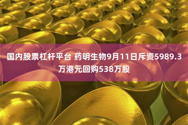 国内股票杠杆平台 药明生物9月11日斥资5989.3万港元回购538万股