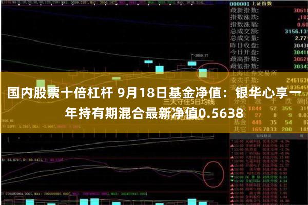 国内股票十倍杠杆 9月18日基金净值：银华心享一年持有期混合最新净值0.5638