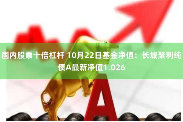 国内股票十倍杠杆 10月22日基金净值：长城聚利纯债A最新净值1.026