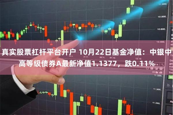 真实股票杠杆平台开户 10月22日基金净值：中银中高等级债券A最新净值1.1377，跌0.11%