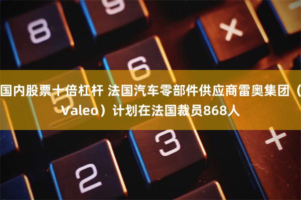 国内股票十倍杠杆 法国汽车零部件供应商雷奥集团（Valeo）计划在法国裁员868人