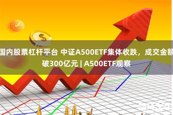 国内股票杠杆平台 中证A500ETF集体收跌，成交金额破300亿元 | A500ETF观察