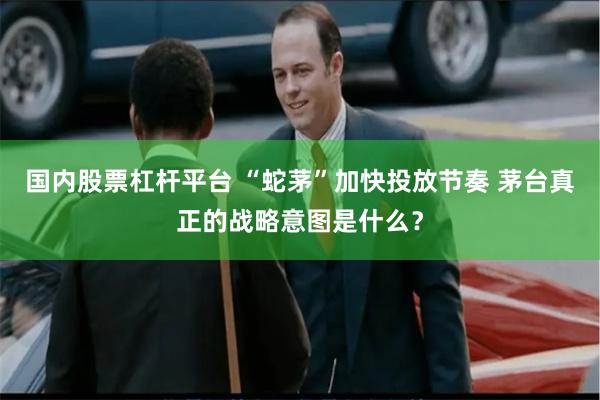 国内股票杠杆平台 “蛇茅”加快投放节奏 茅台真正的战略意图是什么？