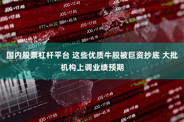 国内股票杠杆平台 这些优质牛股被巨资抄底 大批机构上调业绩预期